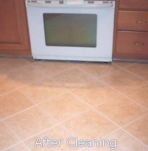 kitchen-cleaning-after-blank