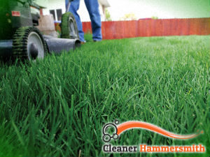 grass-cutting-services-hammersmith